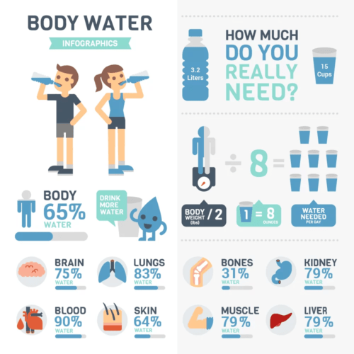 How Much Water to Drink Daily