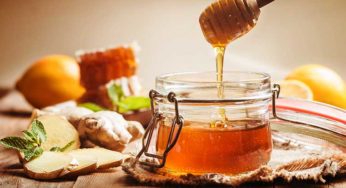 7 Surprising Health Benefits of Honey You Will Be Shocked