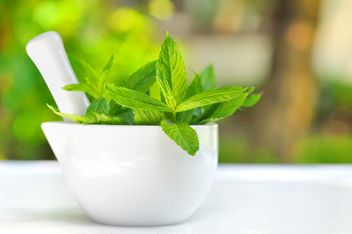 mint leaves for dark circles