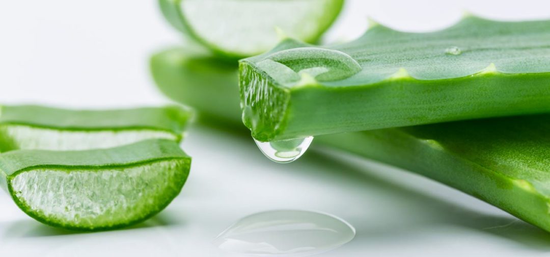 aloe vera for sun tan