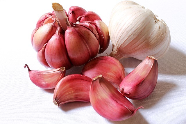 garlic for blood purified