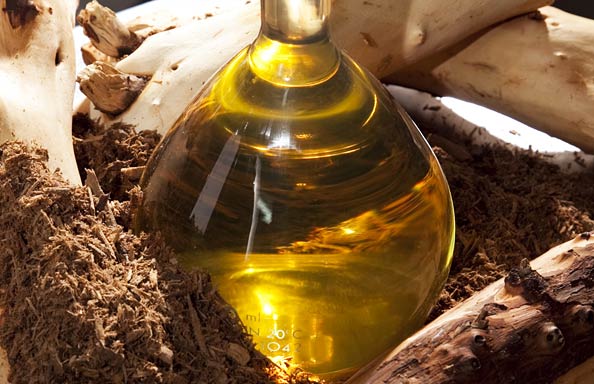 sandalwood oil