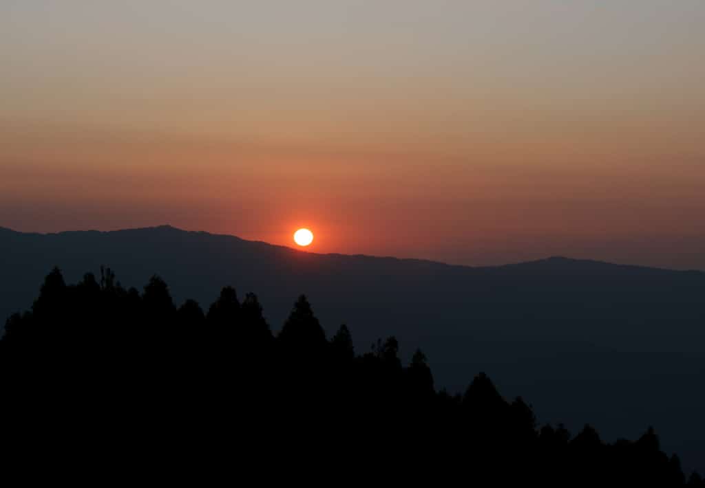 darjeeling morning