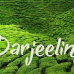 darjeeling tour