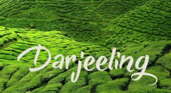 11 Reasons You Should Visit the Cool Paradise Darjeeling