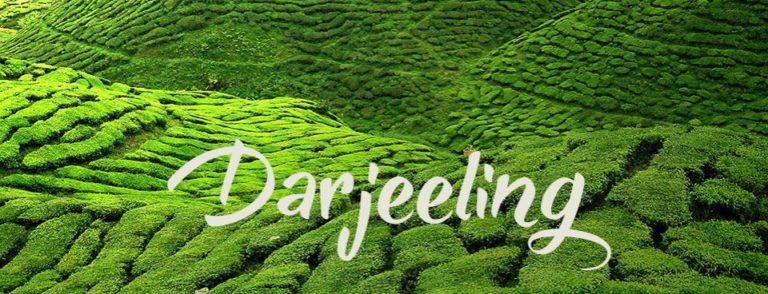 darjeeling tour