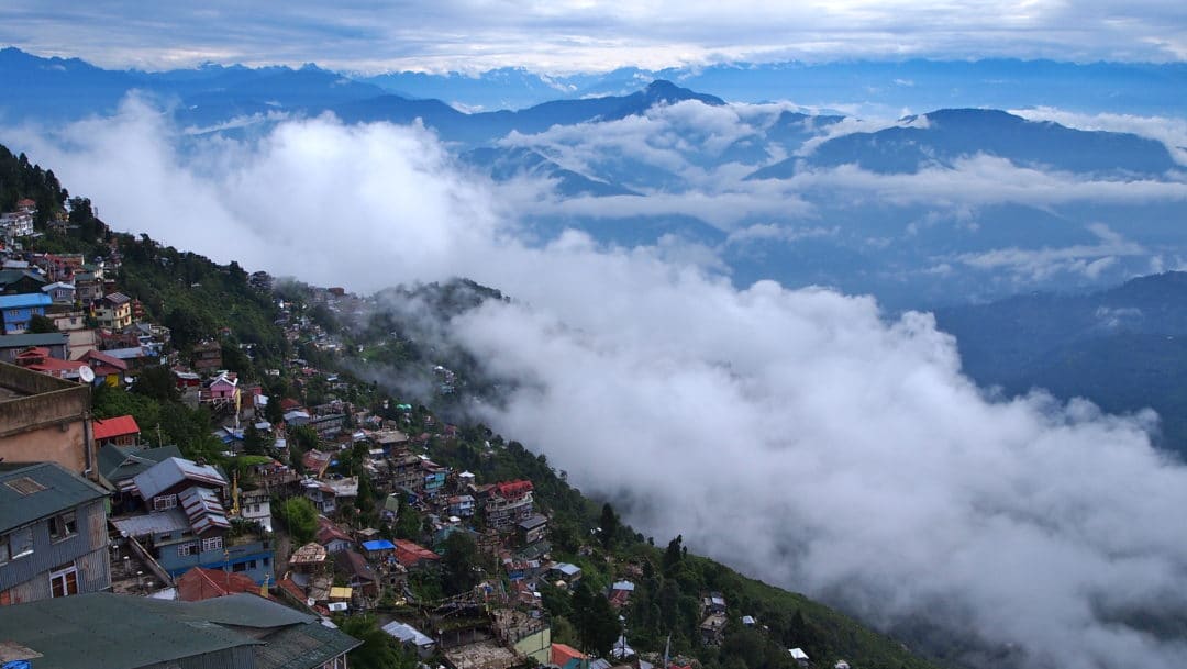 darjeeling