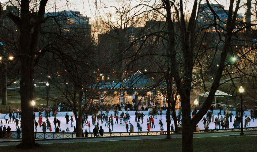 frog-pond