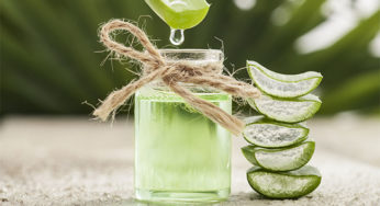 25+ Proven Benefits Of Aloe Vera For Health, Skin and Hair