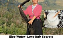 rice-water-for-hair