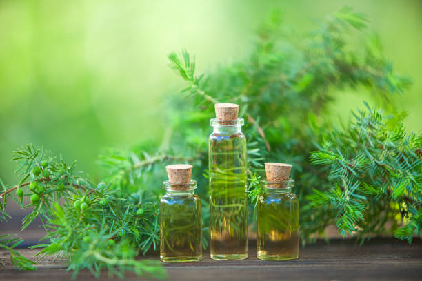 Tea Tree Oil