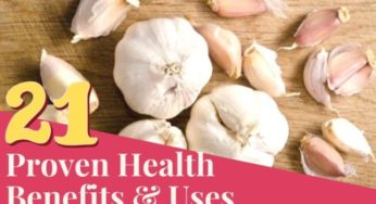 What are the Health and Skin Benefits Of Garlic (Uses)?