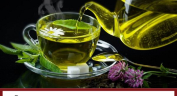 The Ultimate Guideline Of Green Tea ( Benefits+ How to Use)