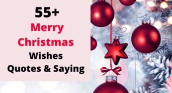 50+ Merry Christmas Wishes Text for Everyone in 2024 (With Image)