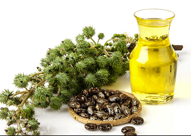 castor oil