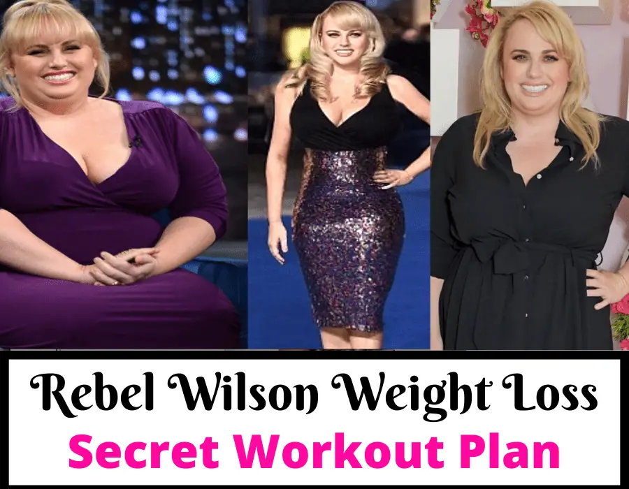 Rebel Wilson Weight Loss Chart