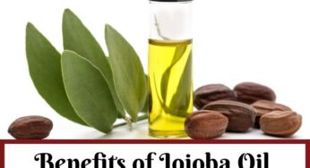 Benefits of Jojoba Oil For Skin and Hair