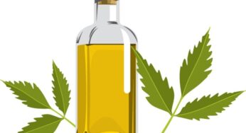 How to use Neem Oil for Dandruff?