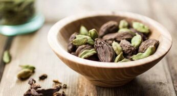 21 Amazing Benefits of Cardamom for Health, Skin and Hair