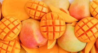 13 Health Benefits of Eating Mangoes: Facts