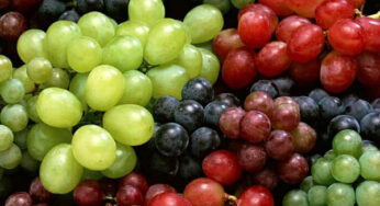 13 Amazing Benefits of Grapes for Health, Skin and Hair