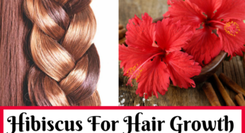 How To Use Hibiscus (Gudhal) for Hair Mask and Oil