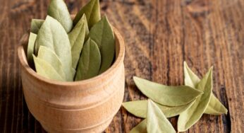 Amazing Burn Bay Leaf Benefits For Health, Skin, and Hair (Uses)