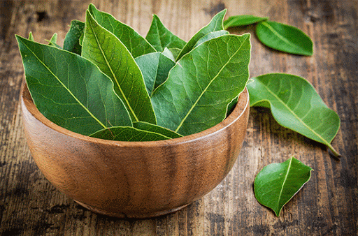 Burn Bay Leaf Benefits For Skin