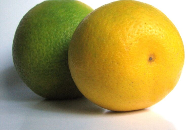 Mosambi Juice Benefits