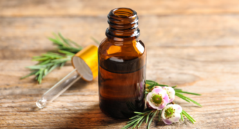 How to Dilute Tea Tree Oil Safely and Effectively For Face (Acne)