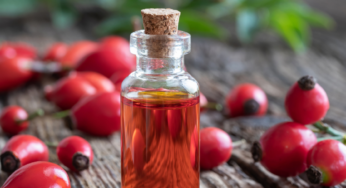 Blossom Your Beauty Routine: The Miracles of Rosehip Oil for Your Face