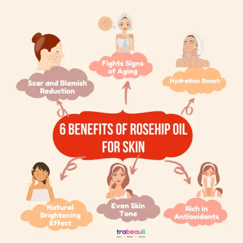 6 Benefits of Rosehip oil For Skin

